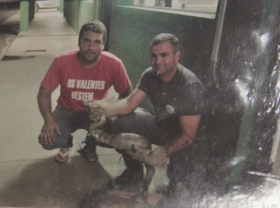 Com a camiseta da ONG, Daniel Barreira, no resgate de uma cobra em parceria com a Polícia Militar Ambiental (Foto: Acervo)
